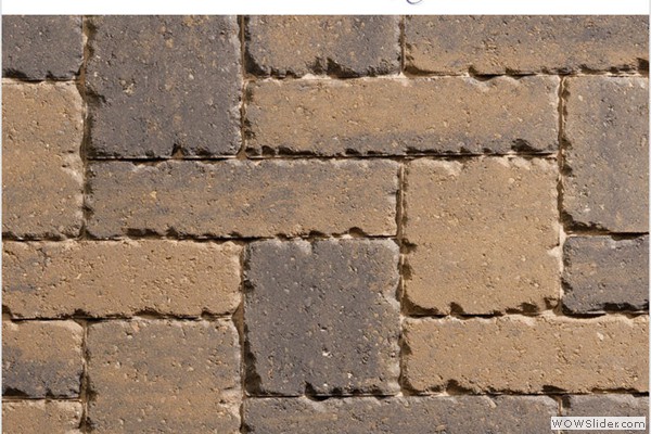 Arlanda (Burnt Bracken)