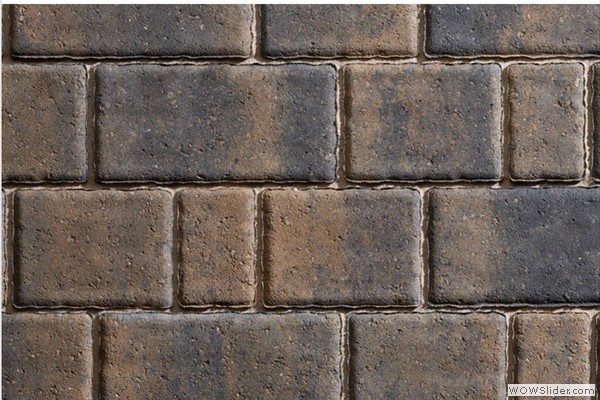 Rococo (Burnt Bracken)